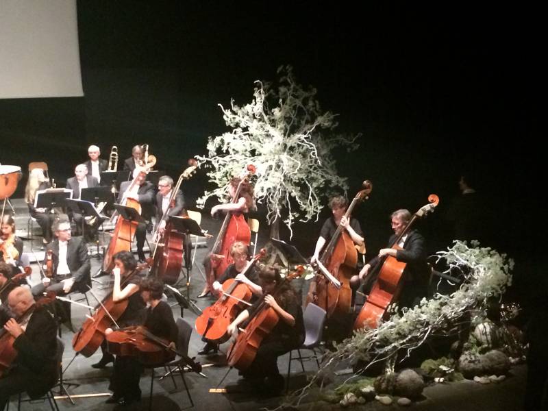 location de décoration florale en fleurs naturelles sur arbre pour scène et spectacle Marseille Toulon Aix en Provence