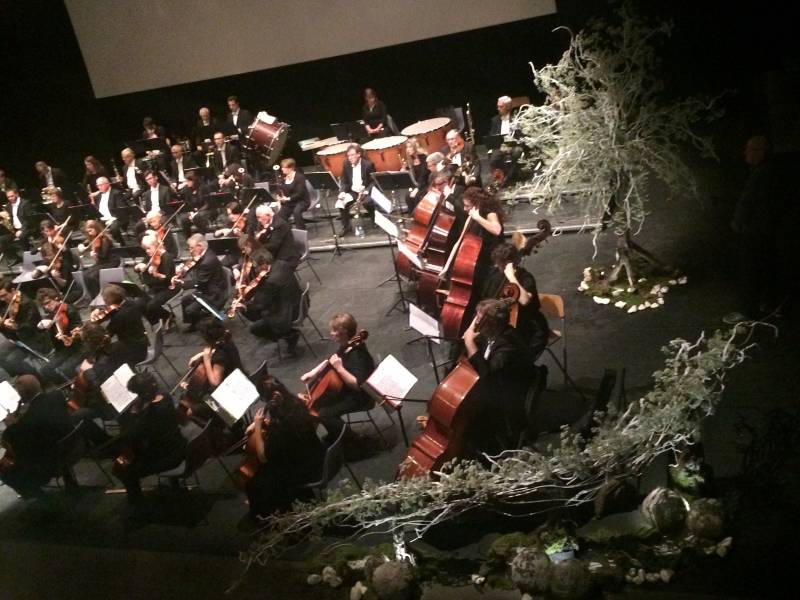 location de décoration florale en fleurs naturelles sur arbre pour scène et spectacle Marseille Toulon Aix en Provence