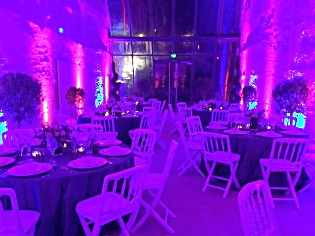 Fleurs naturelles pour créations de centres de tables.