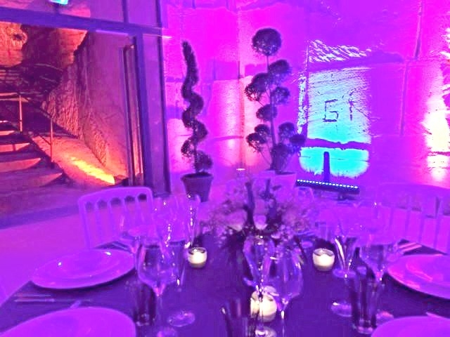 Ambiance feutrée de roses.