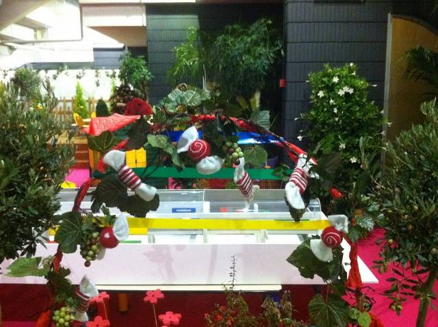 location de plantes pour décor scénique à thème livré sur Marseille, Avignon Toulon