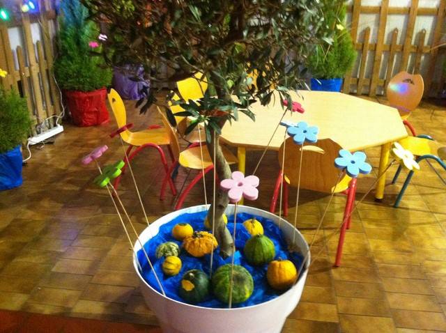 location de plantes pour décor scénique à thème livré sur Marseille, Avignon Toulon