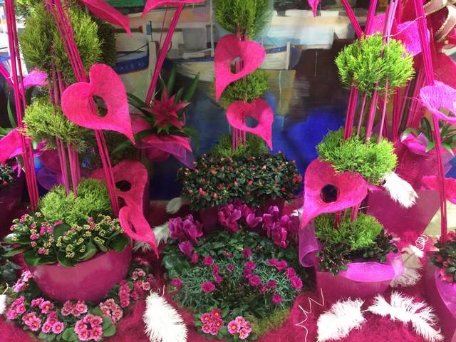 location de décor floral scènique étalagiste par abonnement pour vitrine de magasin, hall d'hotel restaurant de Cannes à Marseille