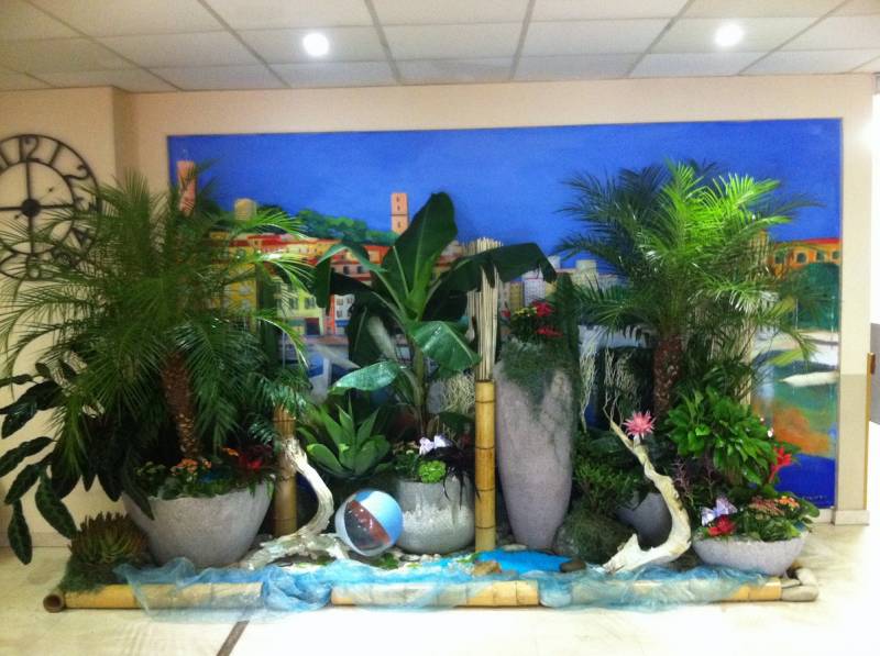 location de décor d'été floral par abonnement pour entrée de magasin, hotel restaurant de Cannes à Marseille