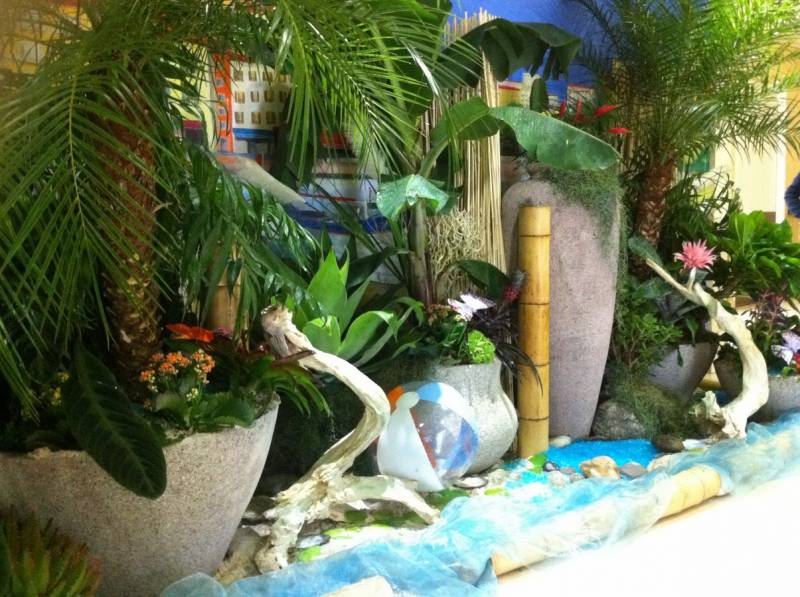 location de décor d'été floral par abonnement pour entrée de magasin, hotel restaurant de Cannes à Marseille