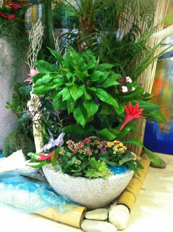 location de décor d'été floral par abonnement pour entrée de magasin, hotel restaurant de Cannes à Marseille