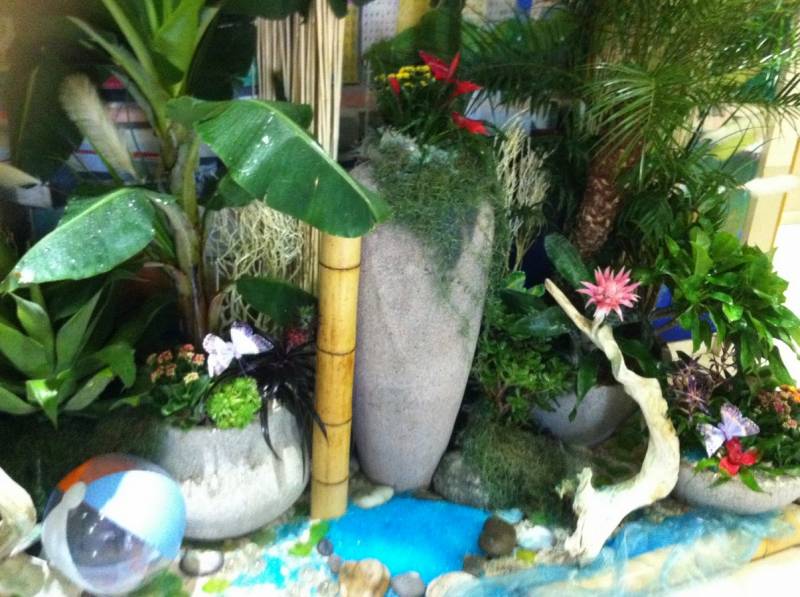 location de décor d'été floral par abonnement pour entrée de magasin, hotel restaurant de Cannes à Marseille