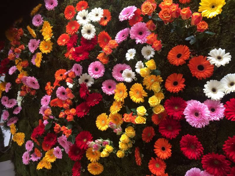 Ce grand mur de végétaux et de fleurs fraîches est conçu pour un photocall lors d'un événement éphèmères à la Valentine  Marseille