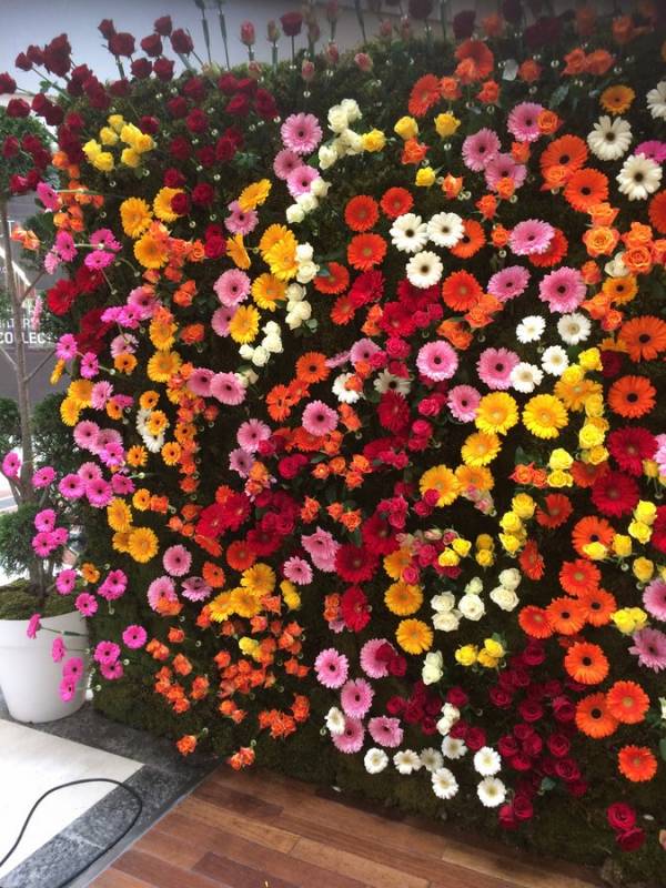 Ce grand mur de végétaux et de fleurs fraîches est conçu pour un photocall lors d'un événement éphèmères à la Valentine  Marseille