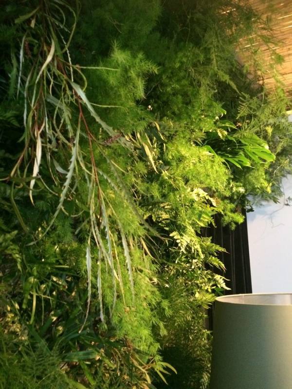 mur végétal éphémère pour stand expo