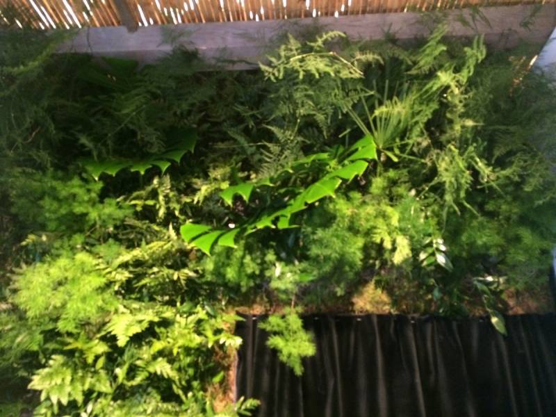 mur végétal éphémère pour stand expo