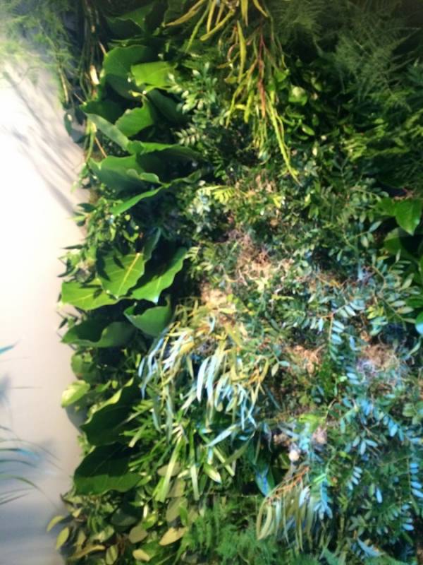 mur végétal éphémère pour stand expo