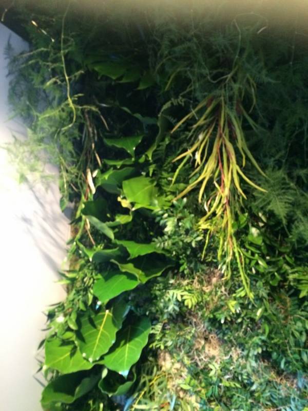 mur végétal éphémère pour stand expo