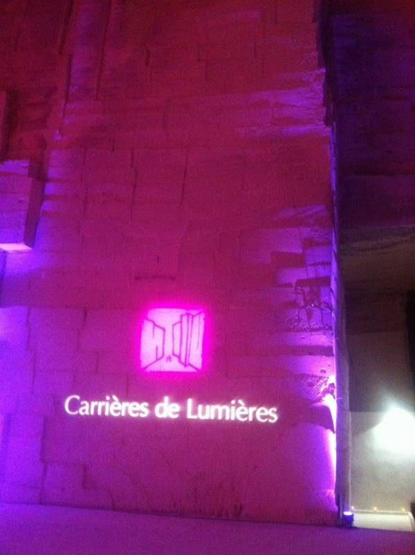 olivier en pot location et vente pour vos événements