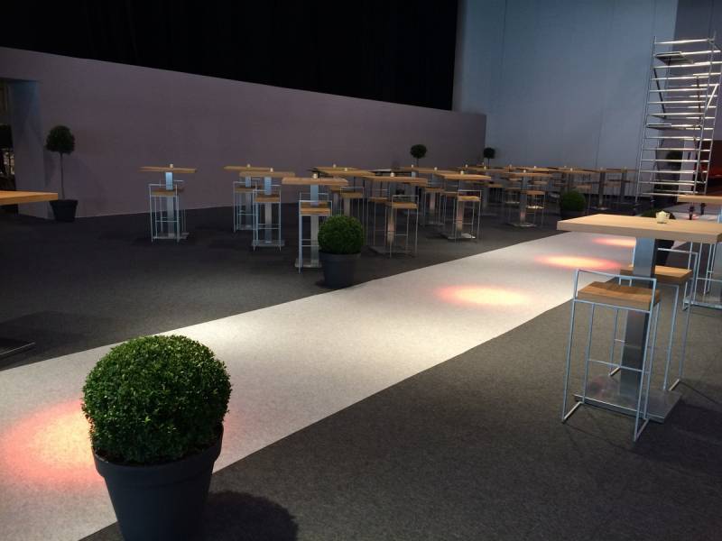 location de plantes oliviers, buis en pots pour événement