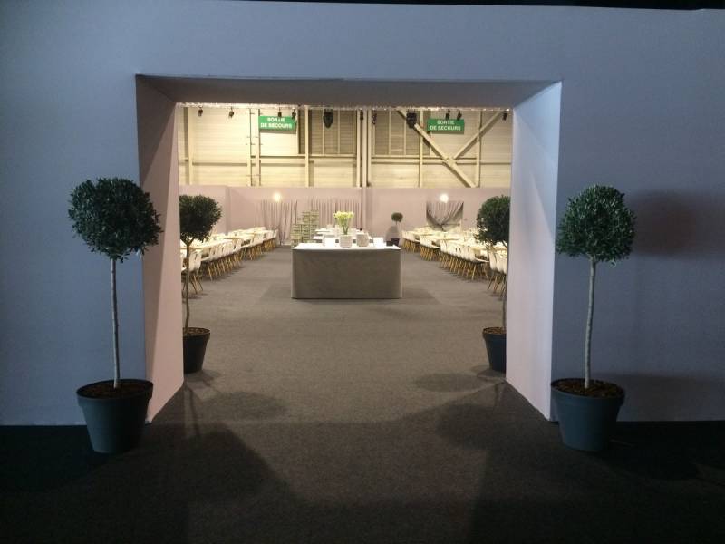 location de plantes oliviers, buis en pots pour événement