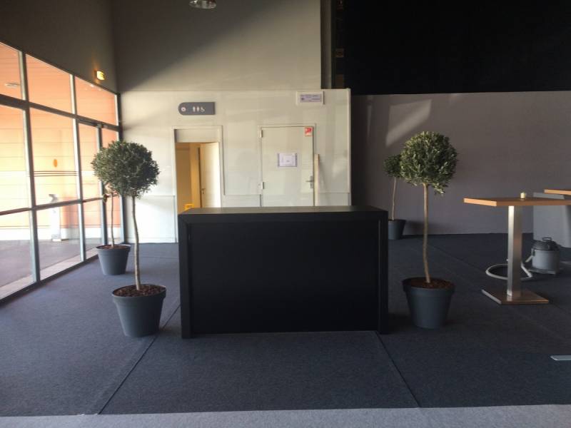 location de plantes oliviers, buis en pots pour événement
