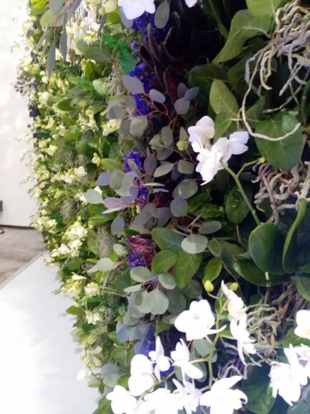Mur de fleurs naturelles ou artificielles pour événements privés et professionnels en paca