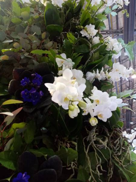 Mur de fleurs naturelles ou artificielles pour événements privés et professionnels en paca