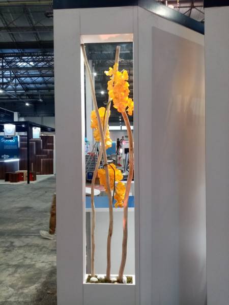 Les fleurs d'orchidées attirent les lumières des spots sdu stand.