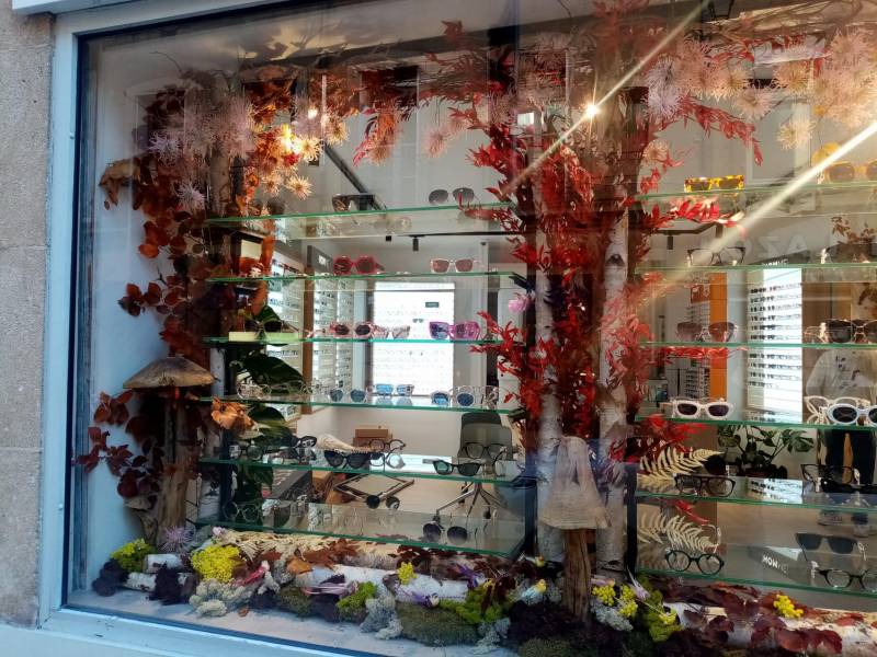 Décor de fleurs à la vente ou à la location pour une vitrine de magasin d'opticien Atol à Aix en Provence
