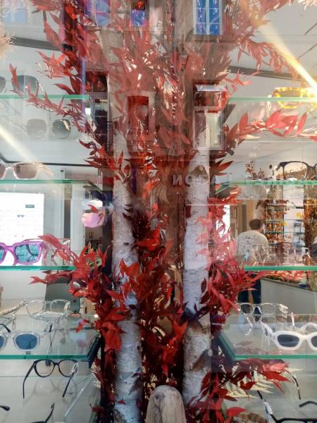 Décor de fleurs à la vente ou à la location pour une vitrine de magasin d'opticien Atol à Aix en Provence