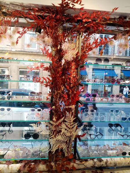 Décor de fleurs à la vente ou à la location pour une vitrine de magasin d'opticien Atol à Aix en Provence