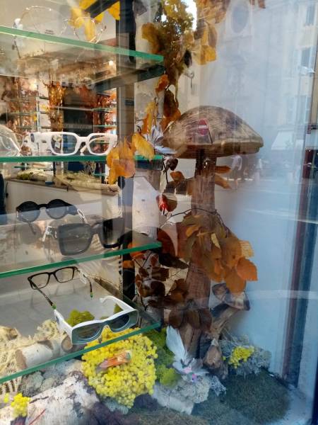 Décor de fleurs à la vente ou à la location pour une vitrine de magasin d'opticien Atol à Aix en Provence