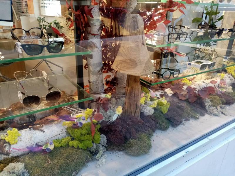 Décor de fleurs à la vente ou à la location pour une vitrine de magasin d'opticien Atol à Aix en Provence