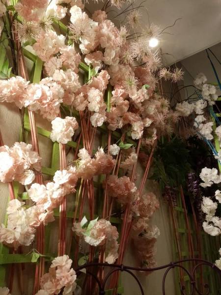 Les amandiers ornent le fond de cette vitrine de magasin à Menton.