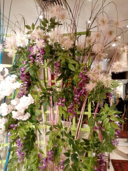 La glycine mauve en fleurs sépare la vitrine du comptoir de la caisse.