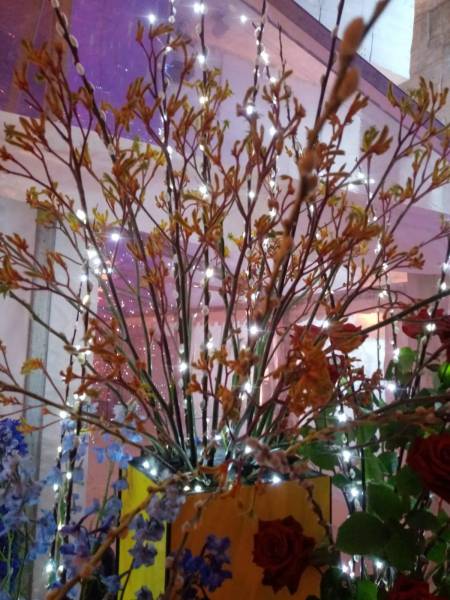 L'anigozanthus pour les carrés jaune.