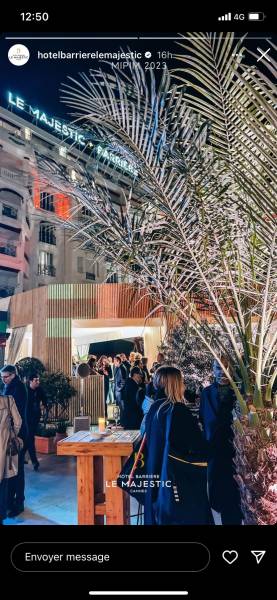 Les palmes mesurent 2 mètres.