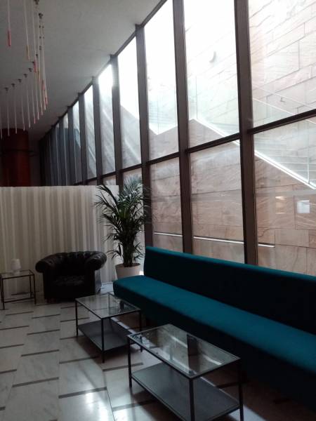 Le kentia mis dans un angle oppose les horizontales par ces belles hauteurs.