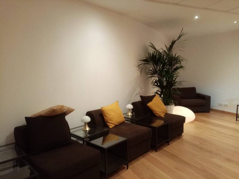 Le kentia trone dans vos espaces de détente et de repos;