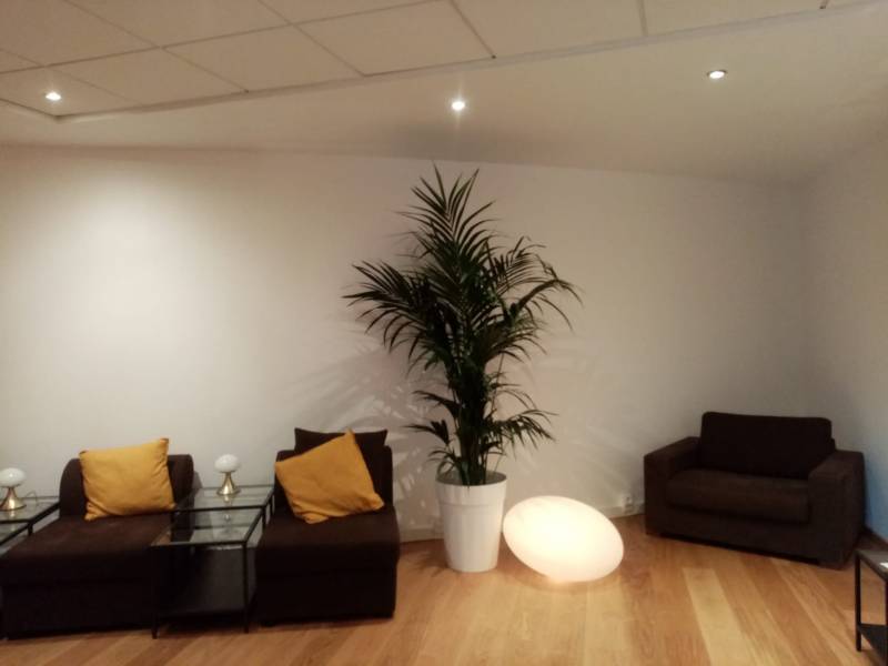 Le kentia en pot blanc et luminaires blanc donne le ton contemporain.