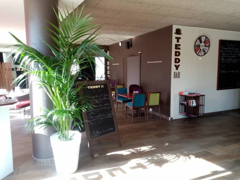 Le kentia embellit l'entrée du restaurant du GTP d'Aix en Provence.