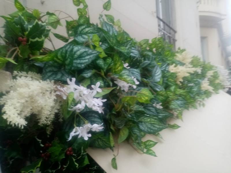 Bio Brod rue de France à Nice Boulangerie traditionnelle