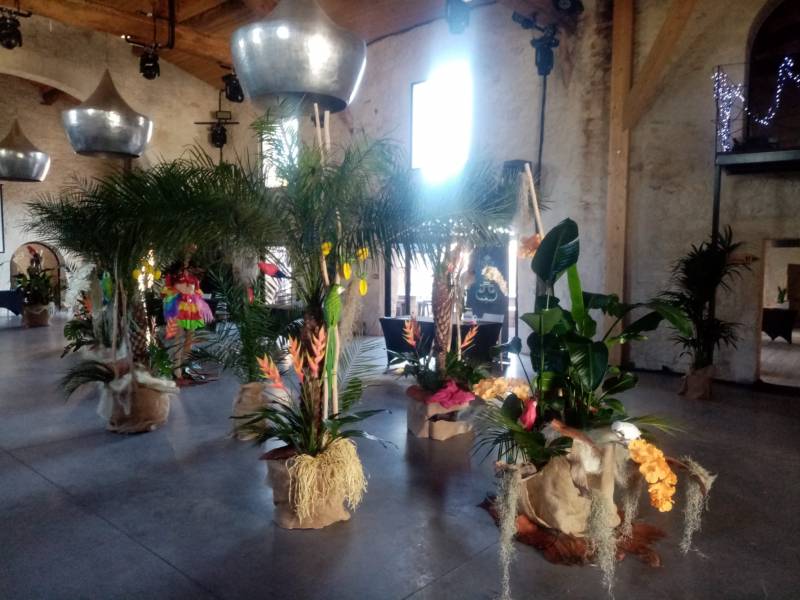 Décor végétal à la location dans le thème exotique.