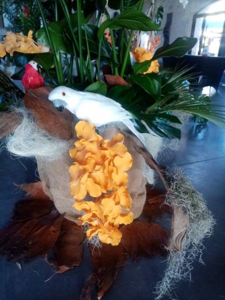 Orchidée artificielle en location.