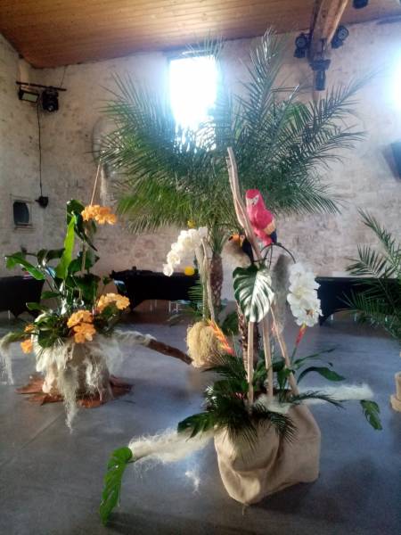 Palmiers, roebelinii et orchidées en location.