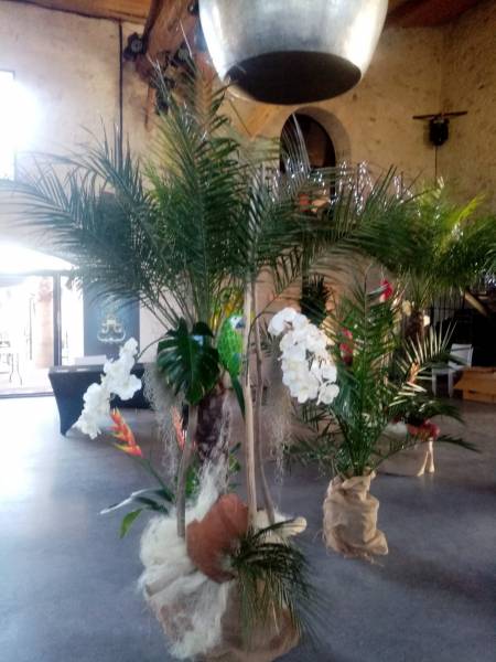 Une oasis de palmiers dans ce beau décor de plantes en location.
