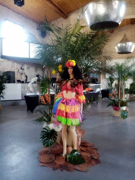 Ambiance brésilienne sous les palmiers en location.