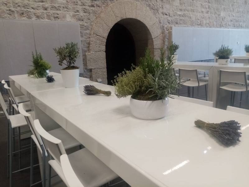 Le thym, le romarin, la sarriette, la ciboulette, la menthe, la lavande, l'oseil, le persil, la sauge, la coriande sont les plantes idéales pour les compositions florales de centres de tables. 