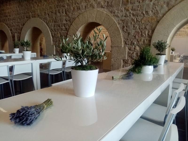 L'atmosphère Provençale est réussi, les oliviers cotoient les lavandes et les aromatiques en coupes céramique.