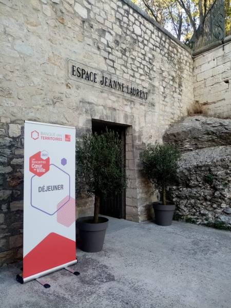 Les oliviers sont proposés à la location.