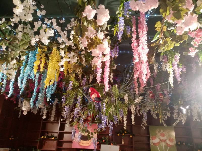 Les cerisiers, les pruniers et les magnolias en fleurs forment la farandole du printemps.