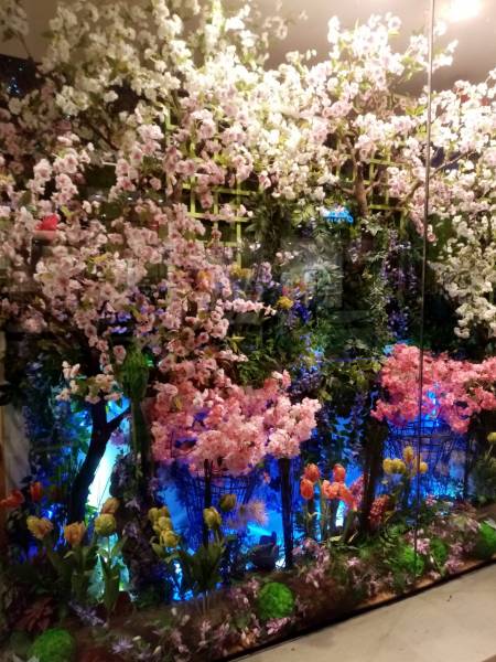 Les arbres printanièrs embellissent le restaurant Dalloyau Paris