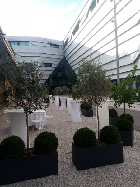 Location de jardinières de 1 mètre.