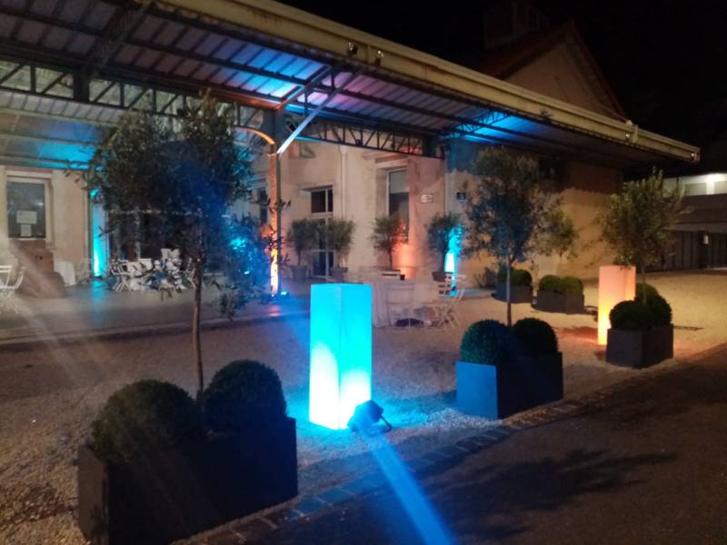 Location de plantes au Conservatoire d'Aix en provence.